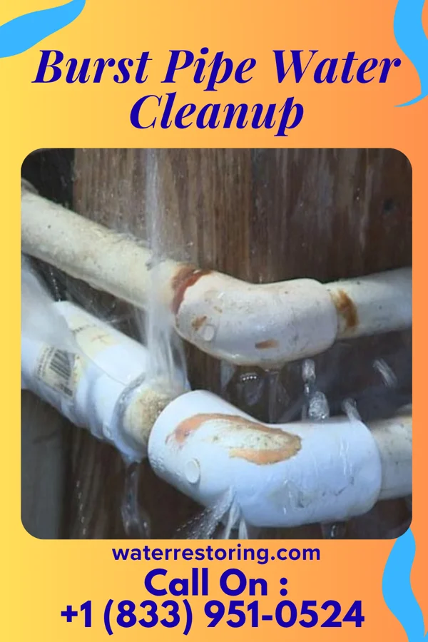 Burst Pipe Water Cleanup in Capron, VA
