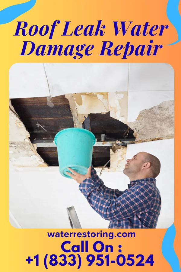 Roof Leak Water Damage Repair in Capron, VA