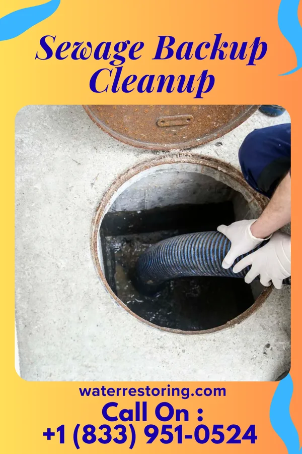 Sewage Backup Cleanup in Capron, VA