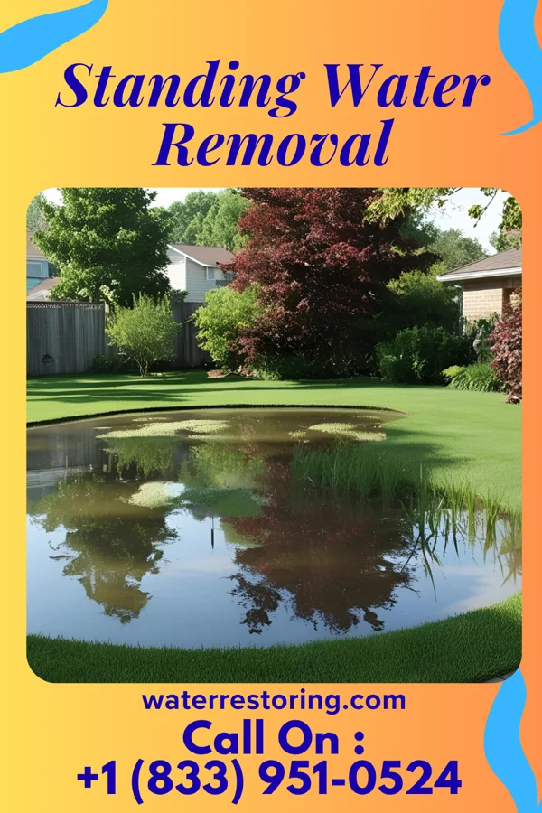 Standing Water Removal in Capron, VA